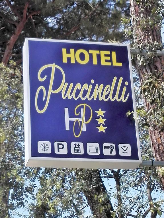 Hotel Puccinelli Λίντο ντι Καμαϊόρε Εξωτερικό φωτογραφία